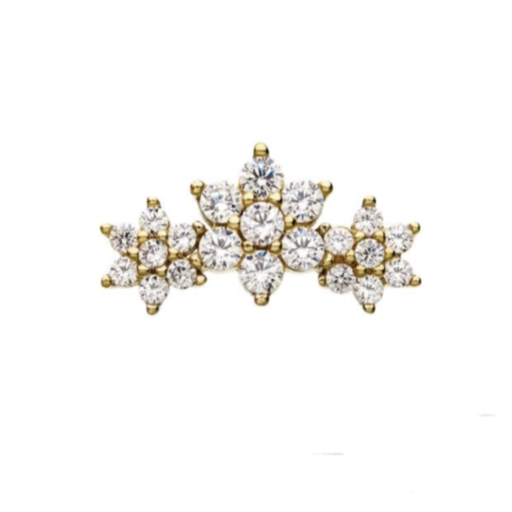 Flower Cluster Press-fit Jewelry in 14k Gold