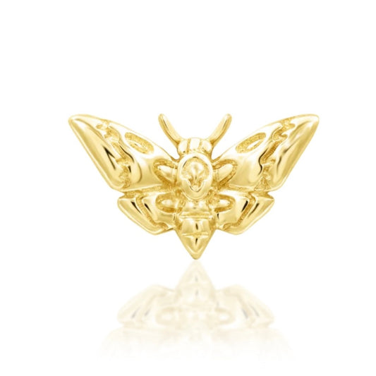 Junipurr - Deaths-Head Moth - Gold - Junipurr